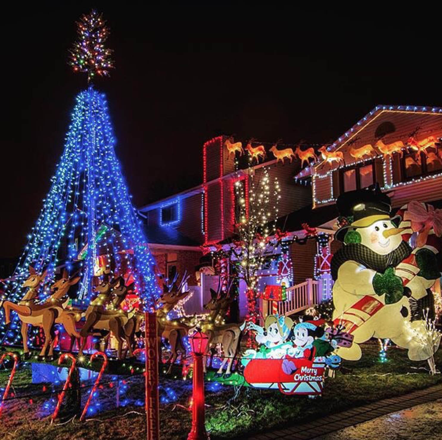 Christmas lights decor in front of residential home