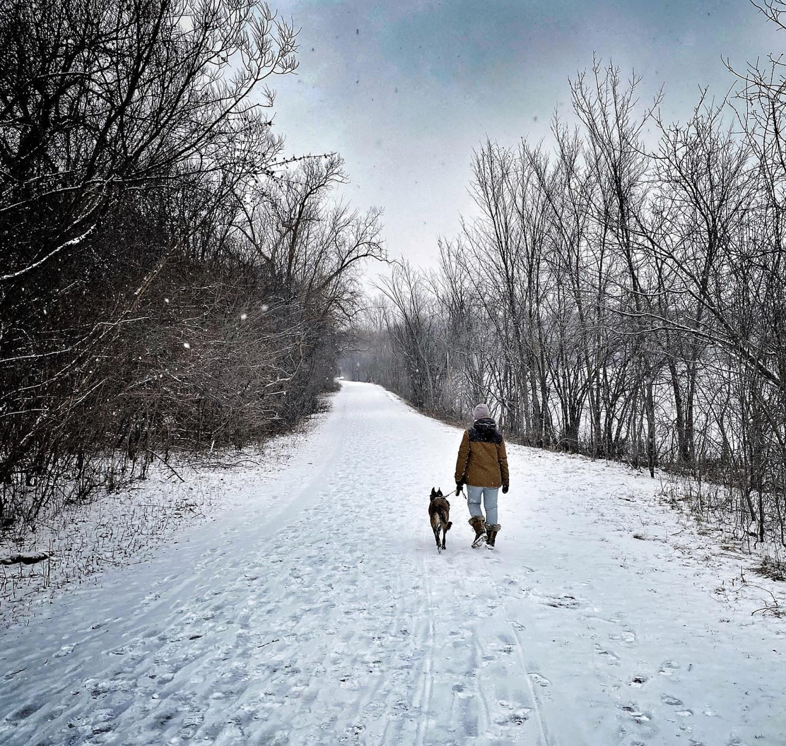 Walk in Gatineau Park on a snowy trail with a dog