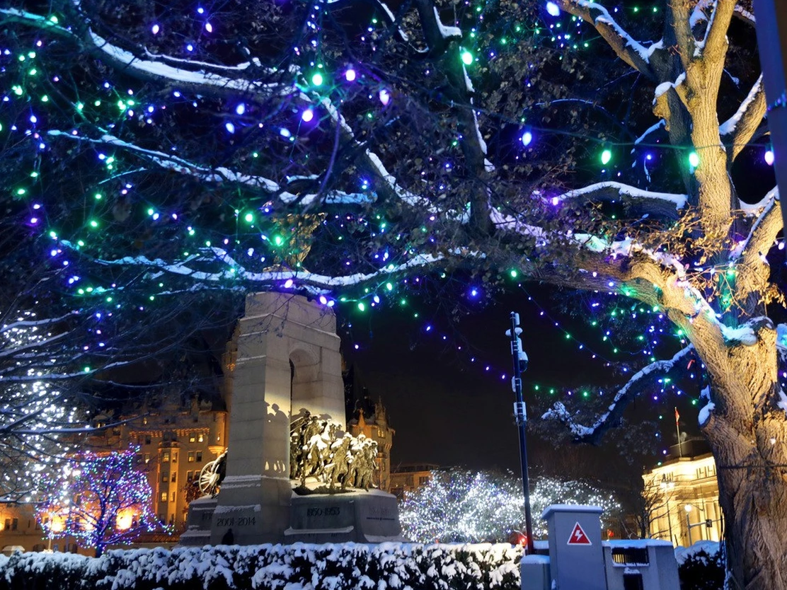 Confederation Park, statue and Christmas lights